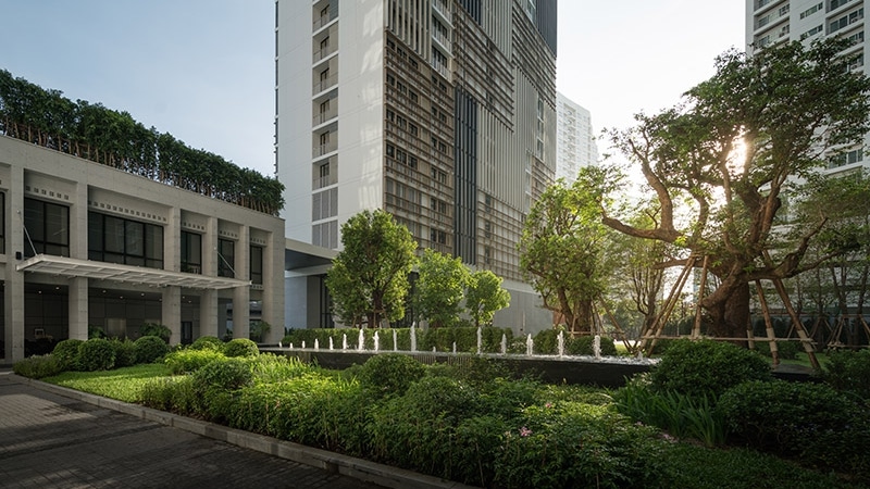 Park 24 by Origin (Phase 1) Ready To Move In 45